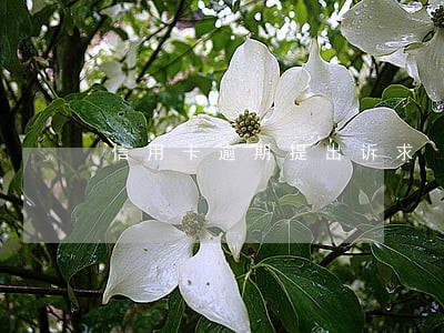 信用卡逾期提出诉求