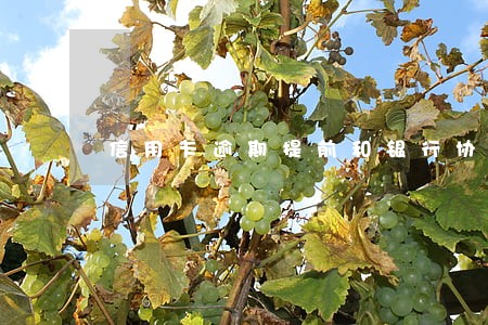 信用卡逾期提前和银行协商 信用卡逾期提前和银行协商