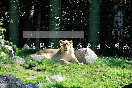 信用卡逾期提前进入司法程序 信用卡逾期提前进入司法程序