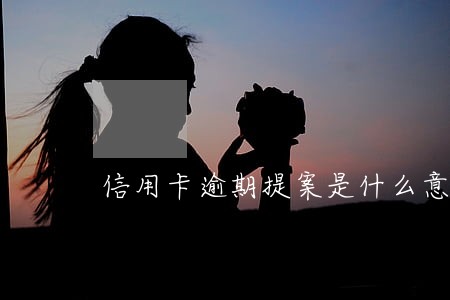 信用卡逾期提案是什么意思 信用卡逾期提案是什么意思