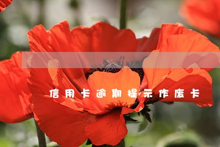 信用卡逾期提示作废卡 信用卡逾期提示作废卡