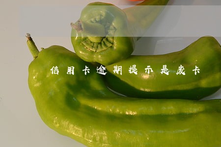 信用卡逾期提示是废卡 信用卡逾期提示是废卡