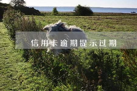 信用卡逾期提示过期 信用卡逾期提示过期