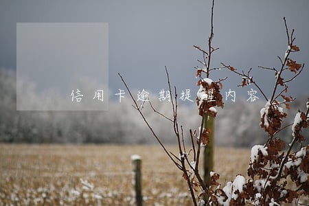 信用卡逾期提醒内容 信用卡逾期提醒内容