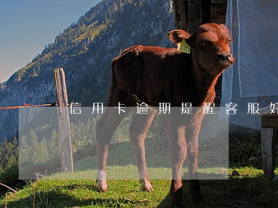 信用卡逾期提醒客服好干吗 信用卡逾期提醒客服好干吗