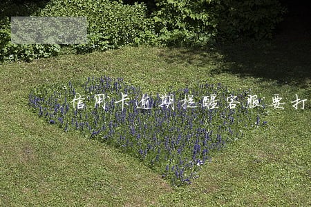 信用卡逾期提醒客服要打字吗