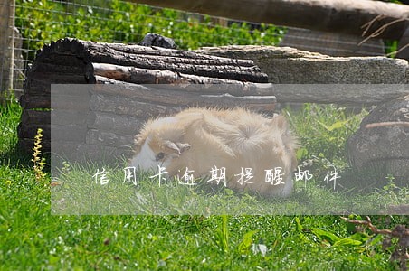 信用卡逾期提醒邮件