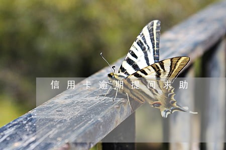 信用卡逾期提问求助 信用卡逾期提问求助