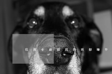 信用卡逾期搞的我都睡不着觉 信用卡逾期搞的我都睡不着觉