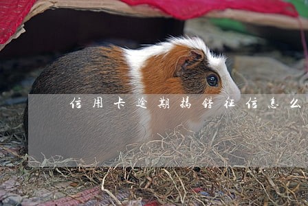 信用卡逾期搞错征信怎么恢复 信用卡逾期搞错征信怎么恢复