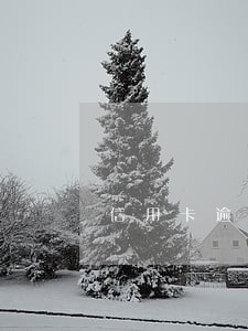 信用卡逾期撤诉金是什么