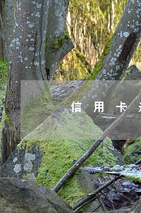 信用卡逾期撤销记录 信用卡逾期撤销记录