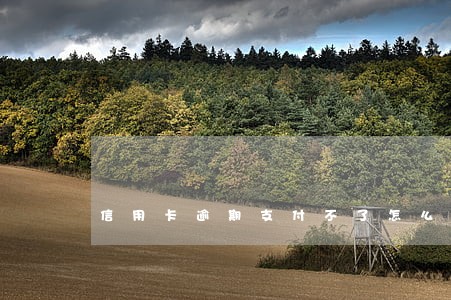 信用卡逾期支付不了怎么办