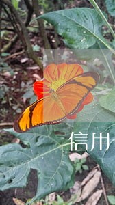 信用卡逾期支付宝会掉分吗