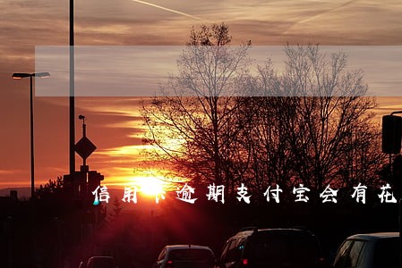 信用卡逾期支付宝会有花呗吗 信用卡逾期支付宝会有花呗吗