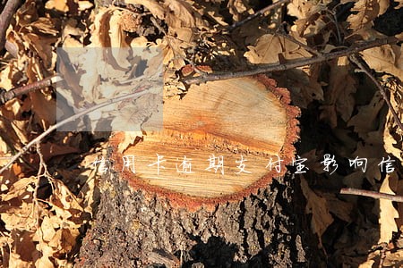 信用卡逾期支付宝影响信用吗