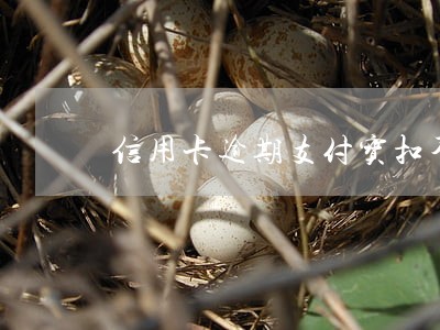 信用卡逾期支付宝扣不到 信用卡逾期支付宝扣不到