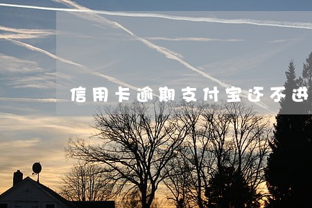信用卡逾期支付宝还不进去 信用卡逾期支付宝还不进去
