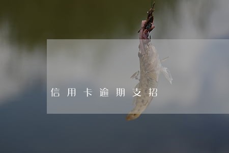 信用卡逾期支招 信用卡逾期支招