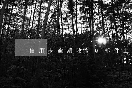 信用卡逾期收QQ邮件上门