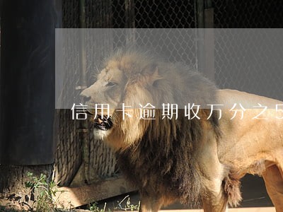 信用卡逾期收万分之5 信用卡逾期收万分之5