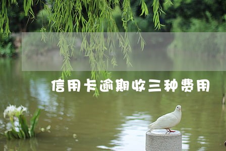 信用卡逾期收三种费用 信用卡逾期收三种费用