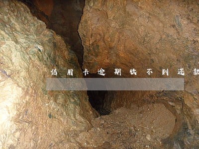 信用卡逾期收不到还款提醒 信用卡逾期收不到还款提醒