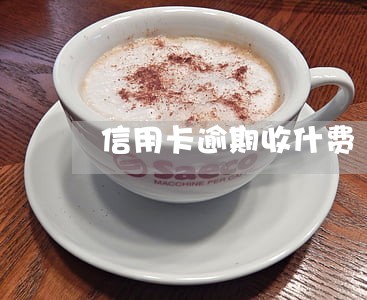 信用卡逾期收什费 信用卡逾期收什费