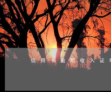 信用卡逾期收入证明咋开