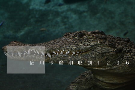 信用卡逾期收到12366挂号信 信用卡逾期收到12366挂号信