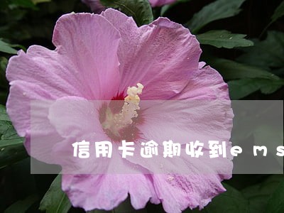 信用卡逾期收到ems邮件是什么