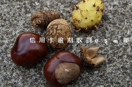 信用卡逾期收到esm邮件是什么
