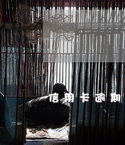 信用卡逾期收到三次传票 信用卡逾期收到三次传票