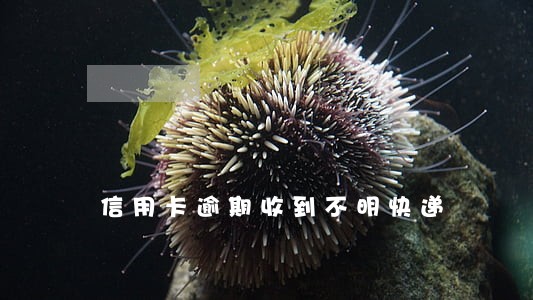 信用卡逾期收到不明快递 信用卡逾期收到不明快递