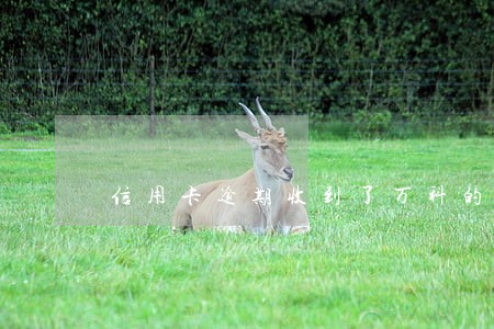 信用卡逾期收到了万科的短信 信用卡逾期收到了万科的短信
