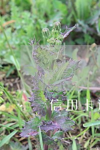 信用卡逾期收到人民法院通知 信用卡逾期收到人民法院通知