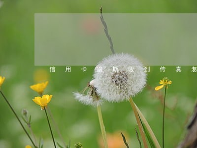 信用卡逾期收到传真怎么办 信用卡逾期收到传真怎么办