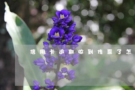 信用卡逾期收到传票了怎么办 信用卡逾期收到传票了怎么办