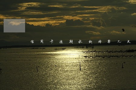 信用卡逾期收到传票几天开庭