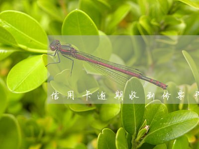 信用卡逾期收到传票开庭去不了 信用卡逾期收到传票开庭去不了