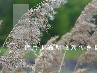 信用卡逾期收到传票模板 信用卡逾期收到传票模板