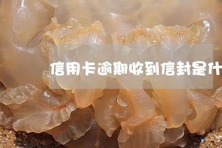 信用卡逾期收到信封是什么