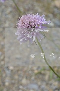 信用卡逾期收到债务抵消信息 信用卡逾期收到债务抵消信息