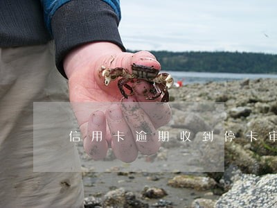 信用卡逾期收到停卡审核 信用卡逾期收到停卡审核