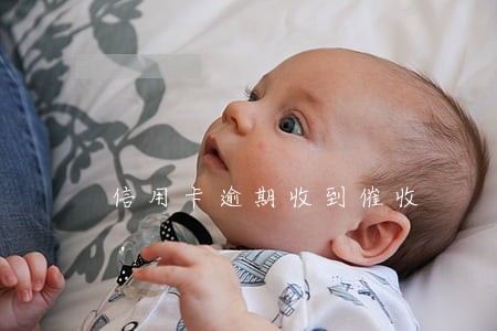 信用卡逾期收到催收 信用卡逾期收到催收