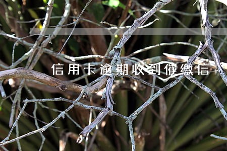 信用卡逾期收到催缴信 信用卡逾期收到催缴信