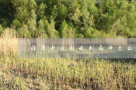 信用卡逾期收到函件怎么办 信用卡逾期收到函件怎么办