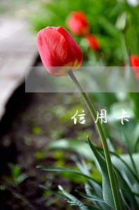 信用卡逾期收到可以减免的信息