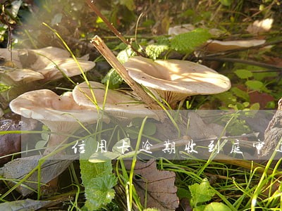 信用卡逾期收到庭审通知书 信用卡逾期收到庭审通知书