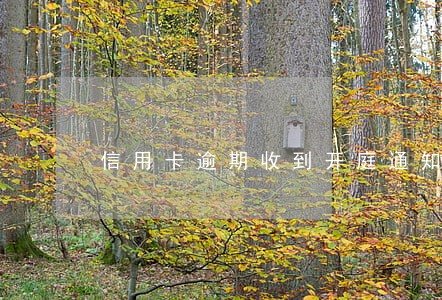 信用卡逾期收到开庭通知 信用卡逾期收到开庭通知